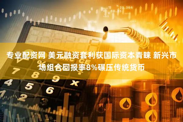 专业配资网 美元融资套利获国际资本青睐 新兴市场组合回报率8%碾压传统货币