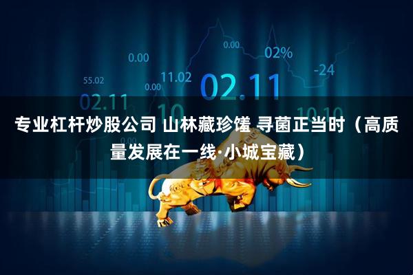 专业杠杆炒股公司 山林藏珍馐 寻菌正当时（高质量发展在一线·小城宝藏）
