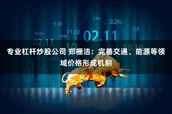 专业杠杆炒股公司 郑栅洁：完善交通、能源等领域价格形成机制